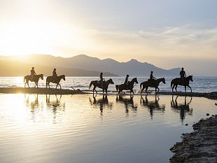 torna-con-la-7-edizione-il-raduno-equestre-regionale-di-castellammare-del-golfo-una-cavalcata-per-un-respiro