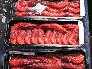 video-il-progetto-ritmare-del-cnr-di-mazara-skin-packaging-dei-pregiati-crostacei-mediterranei-senza-additivi-chimici