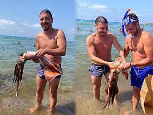 due-partannesi-pescano-per-caso-un-grosso-totano-nelle-acque-di-cefalu