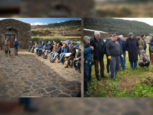 al-via-il-percorso-di-tutela-della-vite-ad-alberello-di-pantelleria