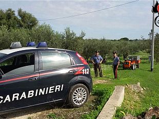 castellammare-raccoglieva-olive-in-un-terreno-non-di-sua-proprieta-con-6-operai-in-nero