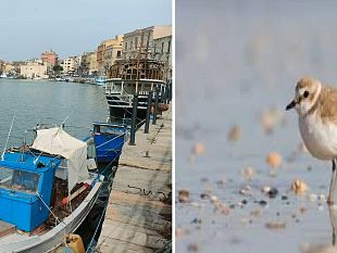 una-punta-di-sal-la-questione-ambientale-e-il-dragaggio-del-porto-di-mazara