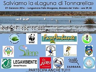 dragaggio-porto-canale-e-venne-il-giorno-degli-ambientalisti-manifestazione-per-salvare-la-laguna-colmata-b-di-tonnarella