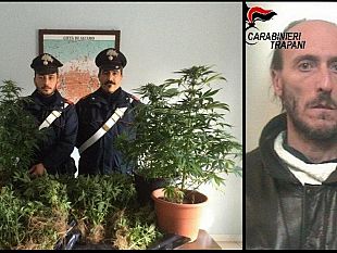 alcamo-arrestato-dai-carabinieri-insospettabile-pollice-verde-coltivava-canapa-indiana-all-interno-di-un-bunker-sotterraneo-illuminato-mediante-energia-elettrica-sottratta-dalla-rete-pubblica