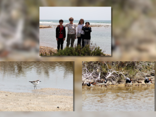 lescursione-naturalistica-di-domenica-28-aprile-alla-palude-di-capo-feto