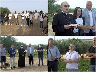 mazara-si-inaugura-con-il-primo-raccolto-la-cooperativa-terre-senza-frontiere
