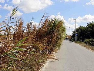 piu-sicurezza-e-meno-traffico-allo-stagnone-nuove-regole-per-la-viabilita-estiva