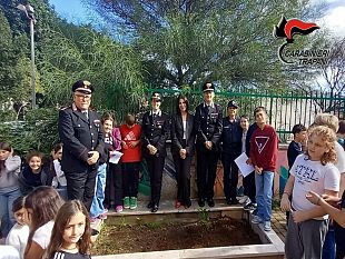 alcamo-allistituto-bagolino-piantato-un-albero-per-il-futuro