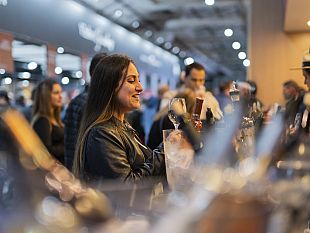 la-sicilia-presenta-164-cantine-al-vinitaly-2026-il-brand-dellisola-punta-sul-valore