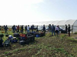 controlli-dei-carabinieri-per-lavoratori-agricoli-non-regolarizzati