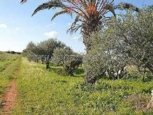 un-ex-poliziotto-ucciso-nelle-campagne-mazaresi