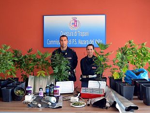 arresto-in-flagranza-di-un-mazarese-per-coltivazione-e-produzione-di-marijuana