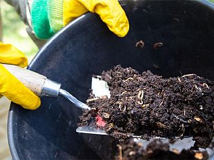 agricoltura-e-non-solo-rivitalizzare-il-terreno-con-la-carta