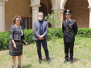 il-dr-roberto-piscitello-al-liceo-classico-pantaleo-incontra-i-ragazzi