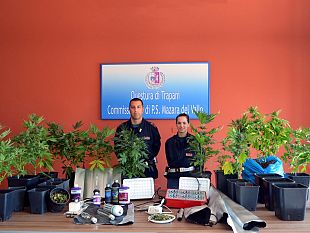 mazara-del-vallo-arresto-in-flagranza-di-un-cittadino-mazarese-per-coltivazione-e-produzione-di-sostanza-stupefacente-del-tipo-marijuana