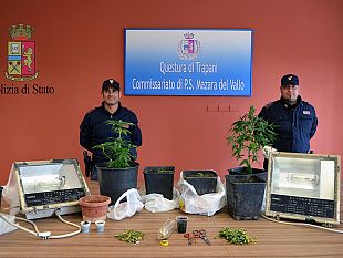 operazione-antidroga-con-sequestro-in-appartamento-di-una-serra-con-6-piante-di-marijuana-a-carico-di-un-cittadino-mazarese
