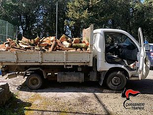 erice-sorpresi-a-disboscare-legna-sindaca-toscano-appureremo-i-danni