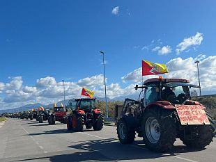 no-allaccordo-mercosur-agricoltori-allevatori-e-consumatori-siciliani-chiedono-le-dimissioni-dei-deputati-regionali