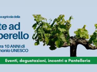 pantelleria-settimana-della-vite-ad-alberello-dal-13-al-19-settembre-si-celebra-il-decennale-del-riconoscimento-unesco