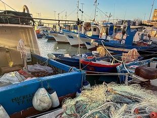 pesca-stanziati-17-milioni-a-sostegno-del-comparto-soddisfazione-della-categoria