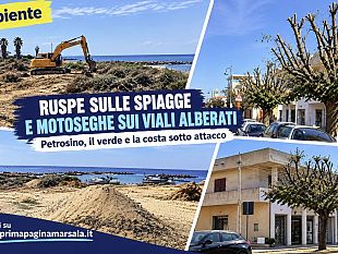 video-petrosino-litorale-spianato-e-alberi-mutilati-la-cura-ambientale-finisce-sotto-la-lente-di-ingrandimento