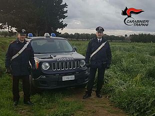 getta-il-proprio-cane-deceduto-in-un-pozzo-i-carabinieri-lo-identificano
