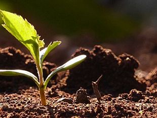 covid-19-agricoltura-e-pratiche-sleali-e-lunione-europea-invece-di-tutelare-il-settore-rimane-a-guardare