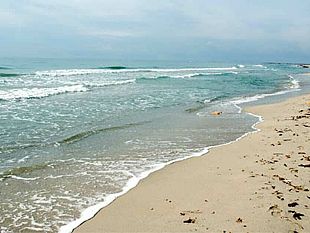 trapani-approvato-in-legge-di-stabilita-l-articolato-che-affida-ai-comuni-il-demanio-marittimo-regionale-spiagge-e-litorali-passano-sotto-una-gestione-diretta-integrata-con-il-territorio-comunale-ma-l