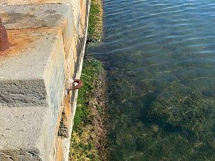 sospetto-sversamento-di-liquami-al-porto-il-comune-dispone-sopralluogo