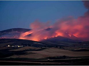 trapani-incendio-montagna-grande-il-comune-punta-al-ripristino-del-bosco