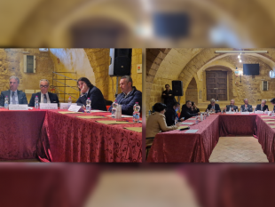 partanna/a-partanna-la-commissione-ars-attivita-produttive