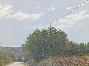 fraginesi-e-cimitero-a-castellammare-interventi-di-pulizia-e-decoro
