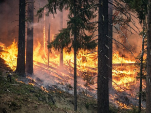 erice-prevenzione-e-lotta-agli-incendi-dal-1-maggio-la-pulizia-dei-terreni