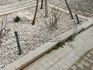 giardino-di-sidonia-danneggiata-parte-della-barriera-di-protezione
