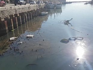 dragaggio-porto-canale-cristaldi-chiedero-commissariamento-della-regione-siciliana