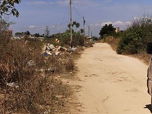 mazara-rimossa-dal-comune-la-carcassa-di-cane-in-via-napoli