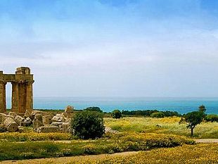 il-logo-di-selinunte-per-il-grano-coltivato-allinterno-del-parco-archeologico-mercoledi-25-la-mietitura