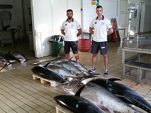 ufficio-circondariale-marittimo-di-marsala-maxi-sequestro-di-tonno-rosso