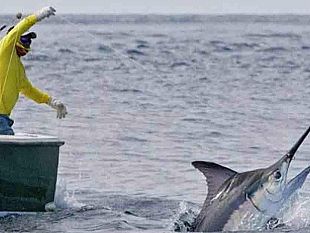 trapani/unci-agroalimentare-studio-scientifico-conferma-la-pesca-ha-un-impatto-ambientale-inferiore-rispetto-ad-altre-attivita