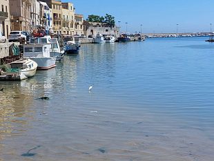 dragaggio-del-porto-canale-di-mazara-come-il-passo-del-gambero