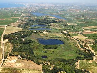 mazara-avviso-per-cessione-volontaria-terreni-ricadenti-allinterno-della-rni-lago-preola-e-gorghi-tondi
