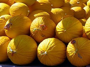 gibellina-la-notte-gialla-sagra-del-melone-giallo-di-gibellina