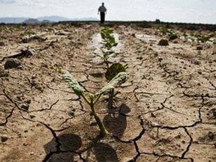 mazara/crisi-idrica-in-sicilia-avanti-le-interlocuzioni-per-lo-stato-di-emergenza