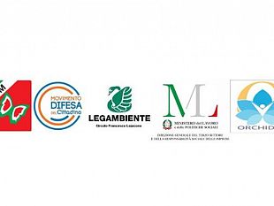 mazara-progetto-orchidea-organizzare-e-rigenerare-contrastando-gli-handicap-e-includendo-i-disabili-ed-anziani