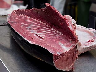 veterinari-asp-sequestrano-tonno-rosso-al-mercato-del-pesce-di-trapani