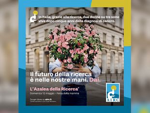 anche-ad-alcamo-lazalea-della-ricerca