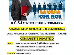 offerta-di-lavoro-a-castelvetrano-come-consulente-didattico