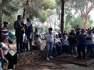campobello/castiglione-al-fianco-degli-agricoltori-contro-il-calo-del-prezzo-delle-olive