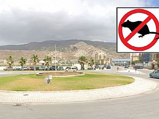 erice-al-via-sesta-derattizzazione-il-comune-raccoglie-segnalazioni