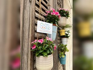 castellammare-seconda-edizione-di-seminiamo-bellezza